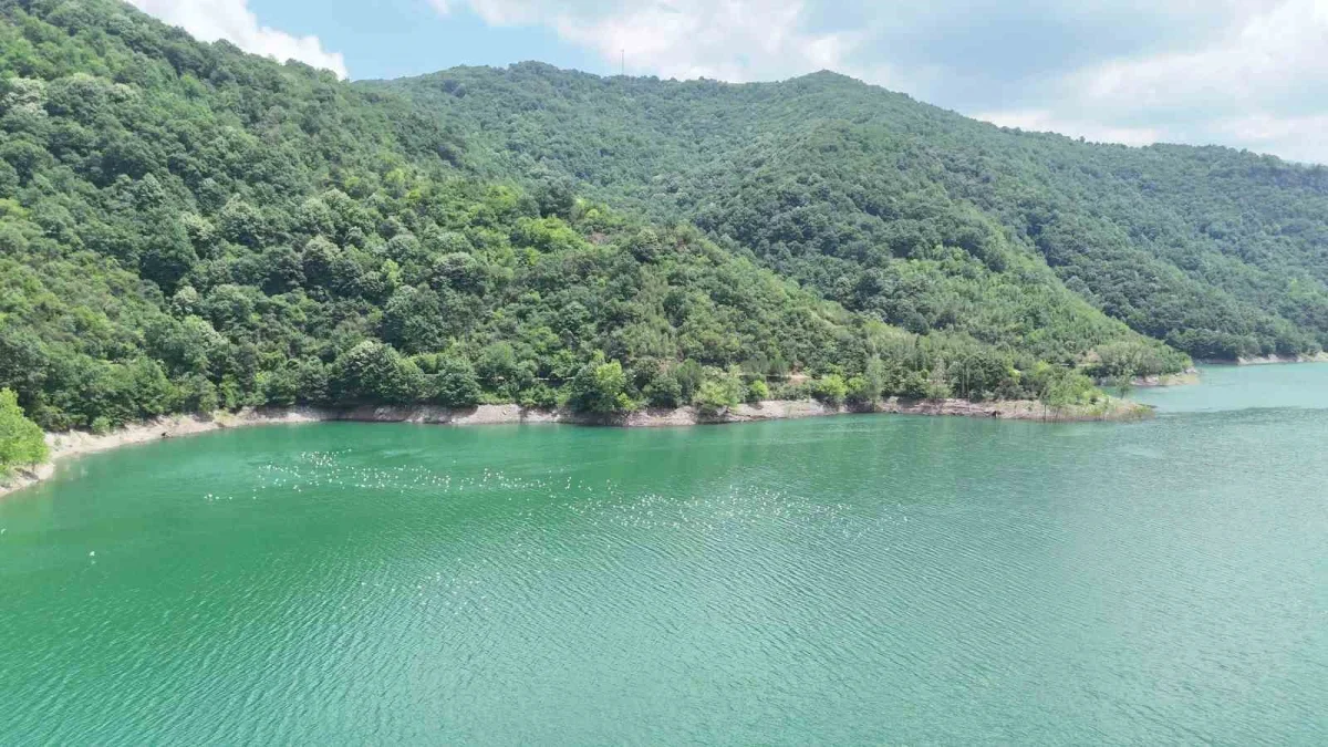 Yuvacık Barajı'nda su seviyesi yüzde 83'e yükseldi