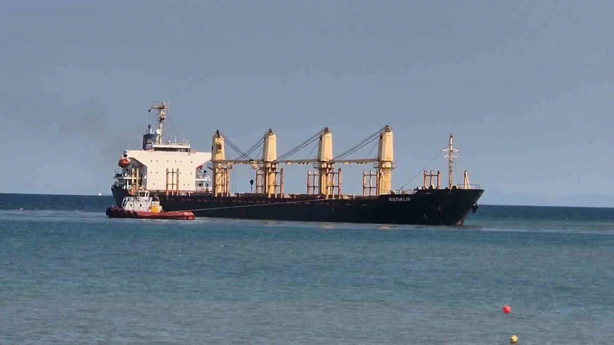 Tekirdağ açıklarında karaya oturan REGALO gemisini kurtarma çalışması