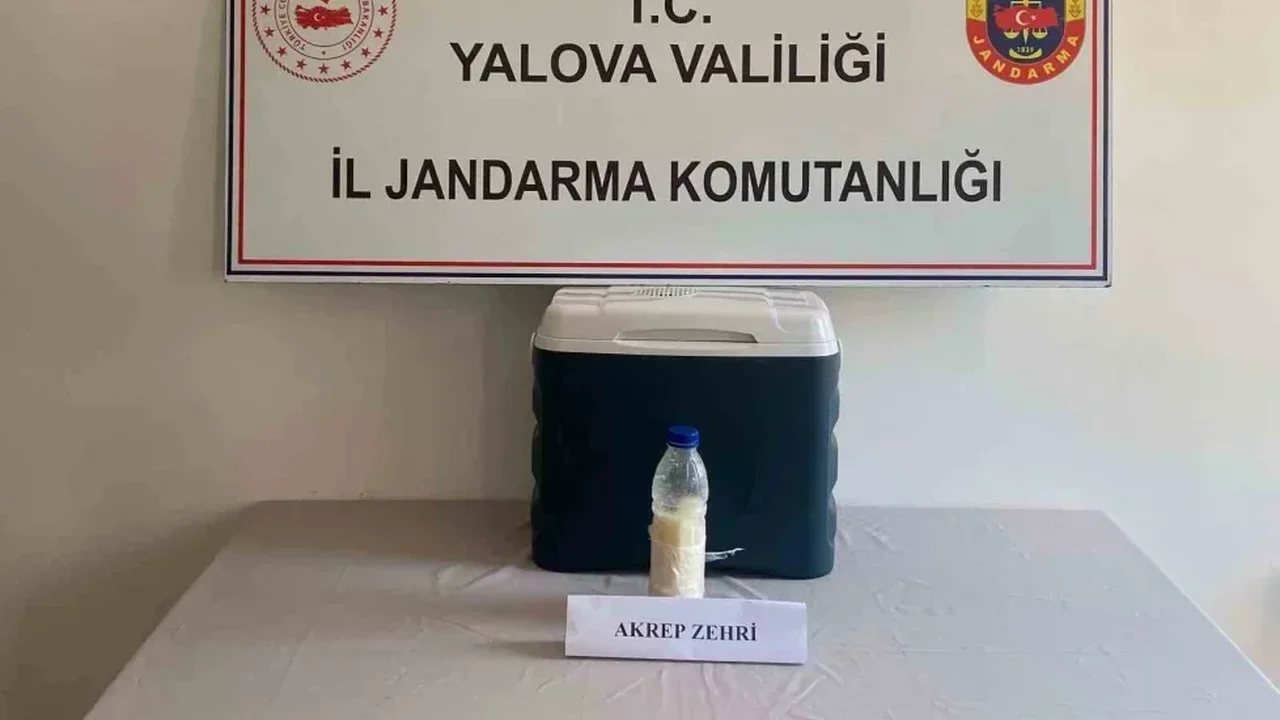 Yalova'da 5 milyon dolarlık akrep zehri ele geçirildi