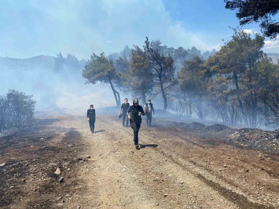 Bursa Büyükorhan'daki orman yangını söndürüldü