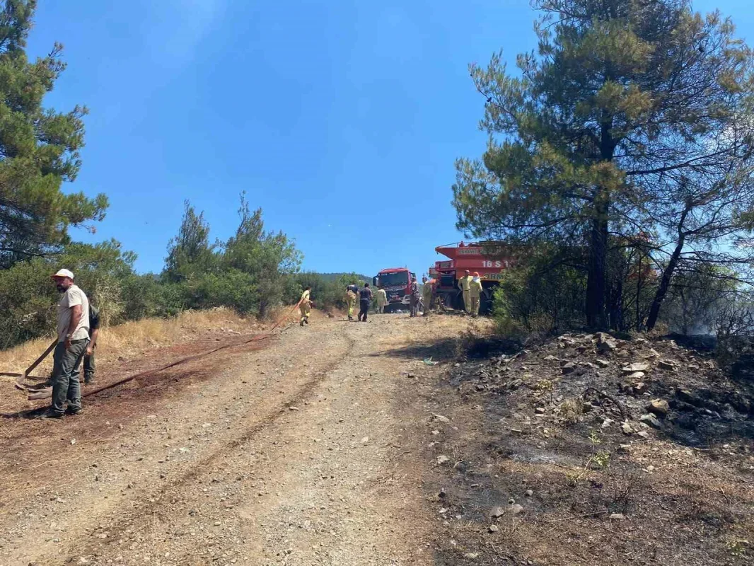 Bursa Büyükorhan'daki orman yangını söndürüldü