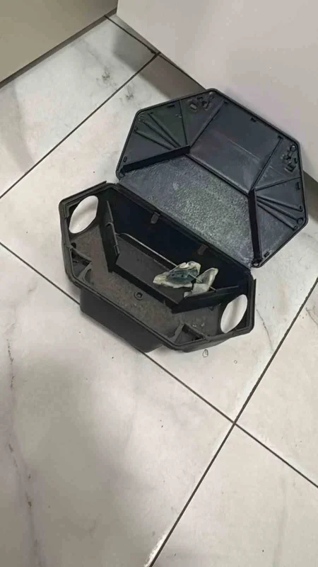 Kreşte fare zehiri iddiası: 5 yaşındaki çocuk hastanelik oldu