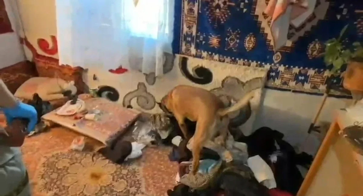 Edirne'de uyuşturucu operasyonu: 2 kişi tutuklandı