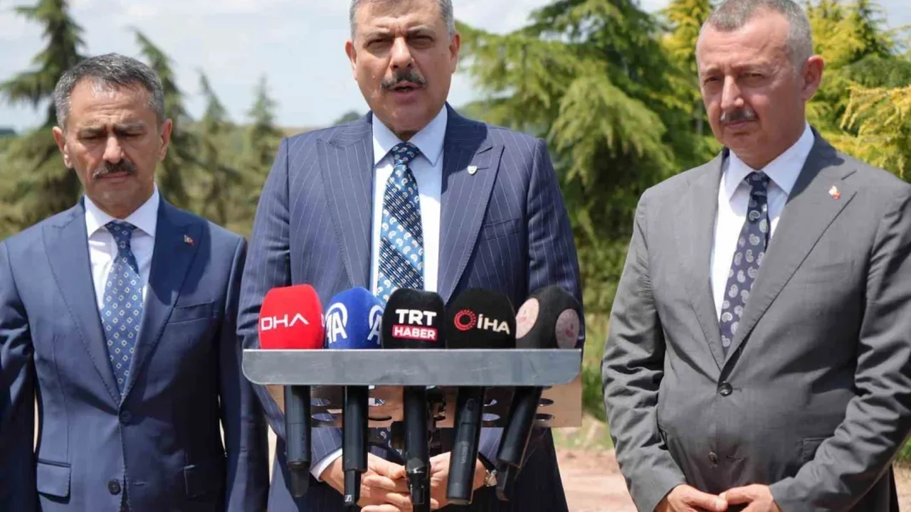 Bakan Çiftçi: Sokak hayvanlarının yüzde 92,35'i barınaklarda