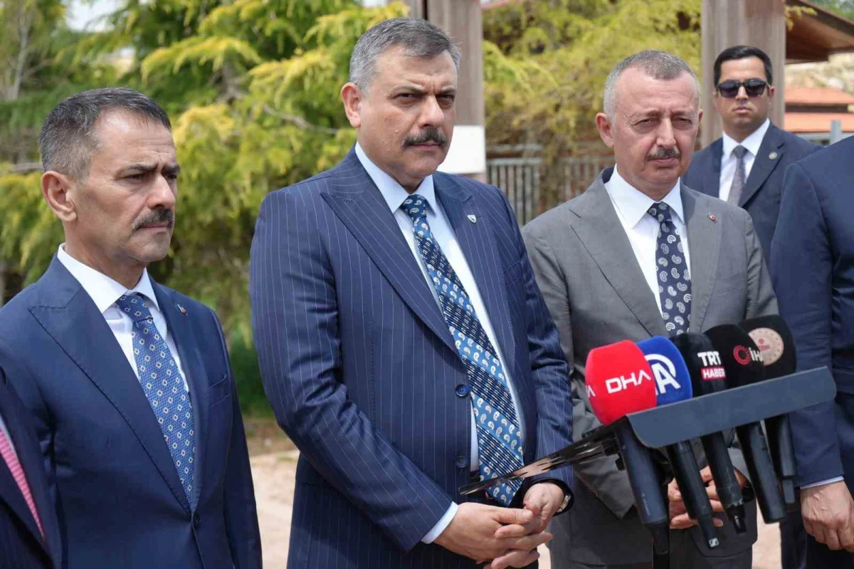 Bakan Çiftçi: Sokak hayvanlarının yüzde 92,35'i barınaklarda