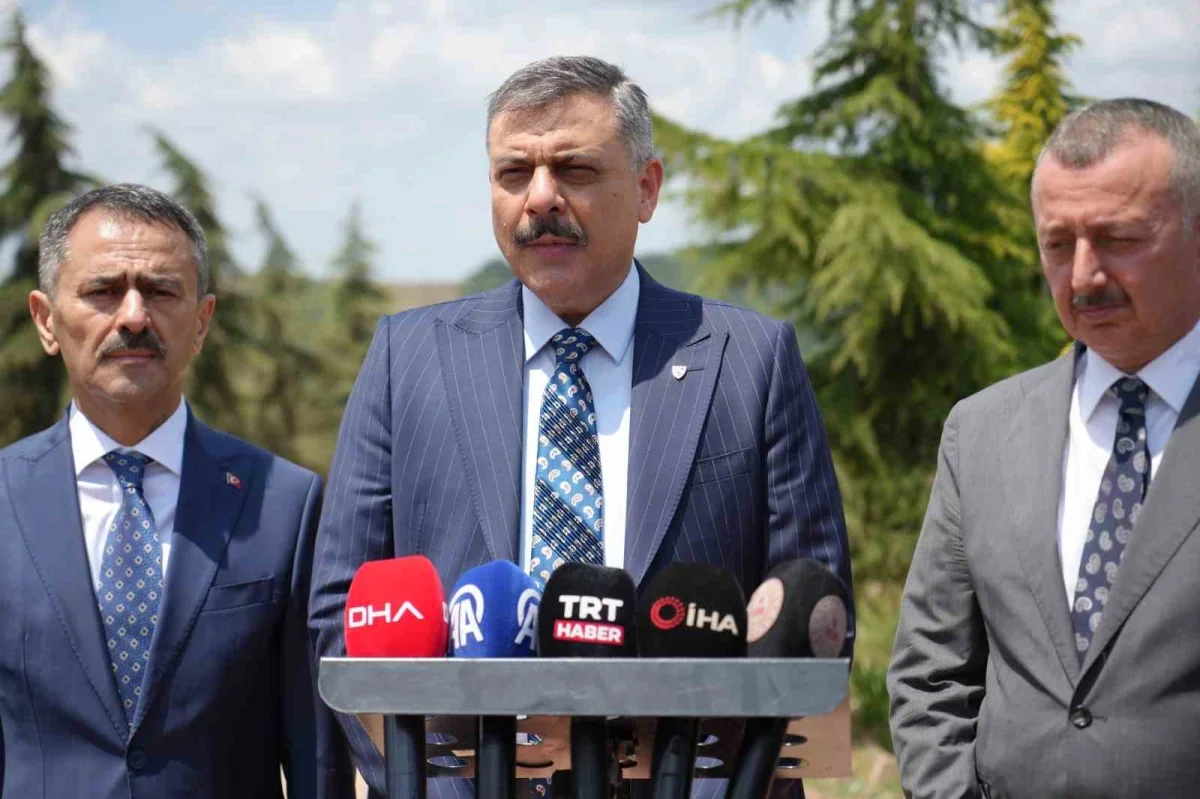 Bakan Çiftçi: Sokak hayvanlarının yüzde 92,35'i barınaklarda