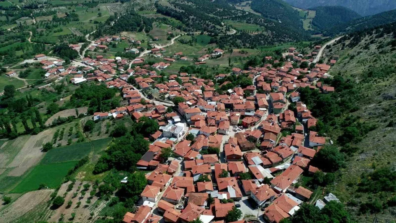 Sorgun peyniri coğrafi işaret aldı: Keles'te tescil sevinci