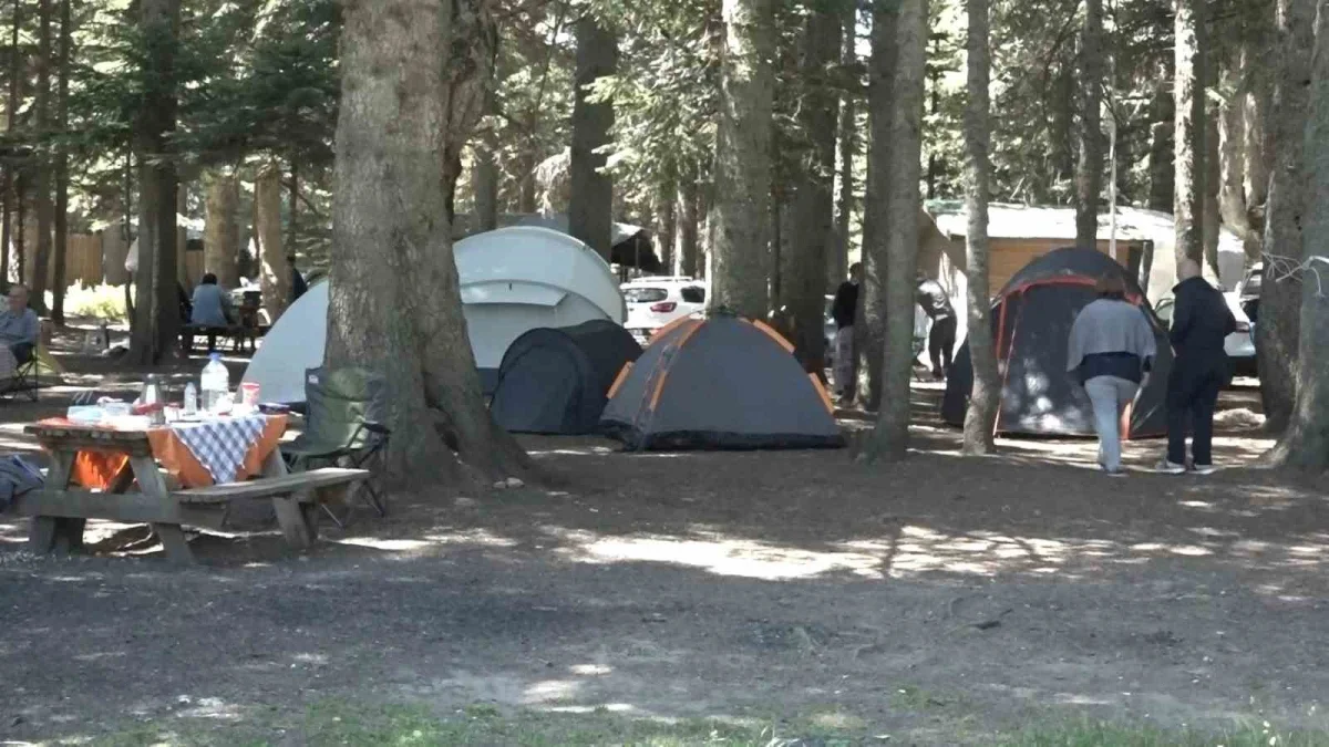 Sıcaktan bunalanlar Uludağ'da çadır kurup serinledi