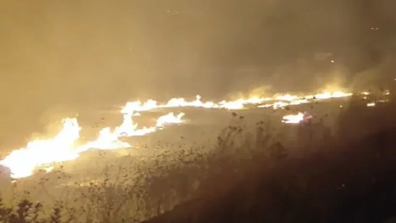 Gönen'de yol kenarındaki arazi yangını 1 saatte söndürüldü