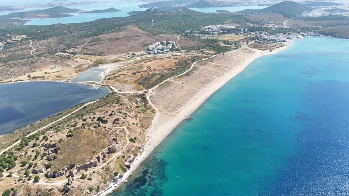 Ayvalık'ta kum zambaklarının koruma kafesleri çöplüğe döndü