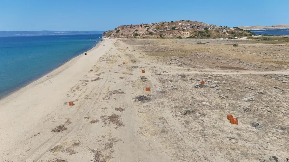 Ayvalık'ta kum zambaklarının koruma kafesleri çöplüğe döndü