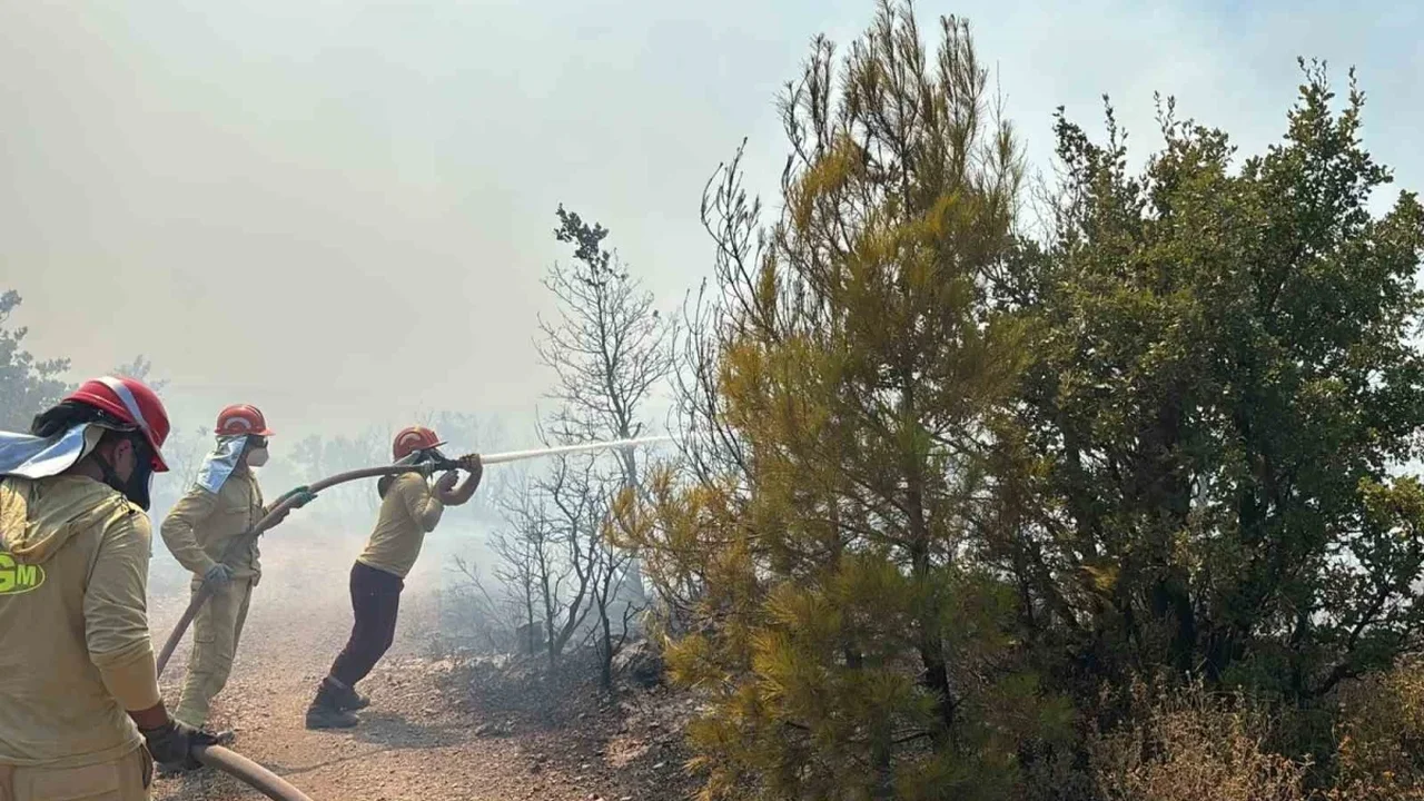 Gömeç'te orman yangınına 4 uçak ve 2 helikopterle müdahale