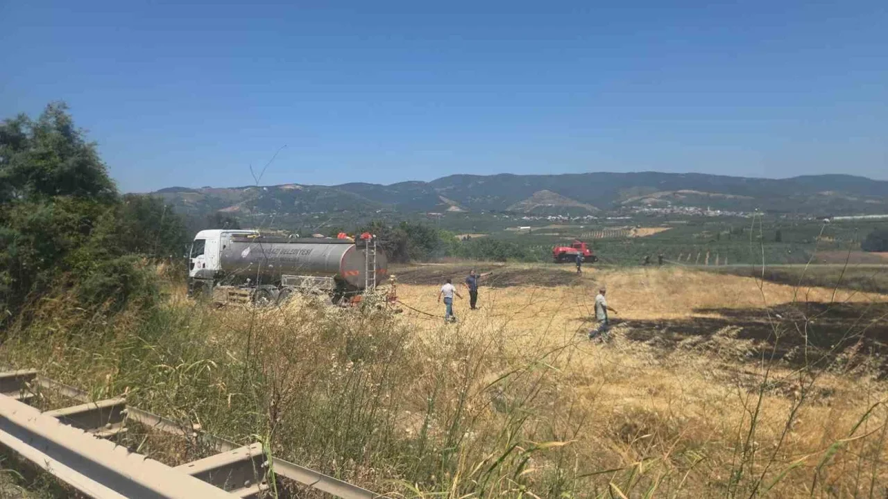 Bursa-Yalova Karayolu'nda otluk alanda yangın korkuttu