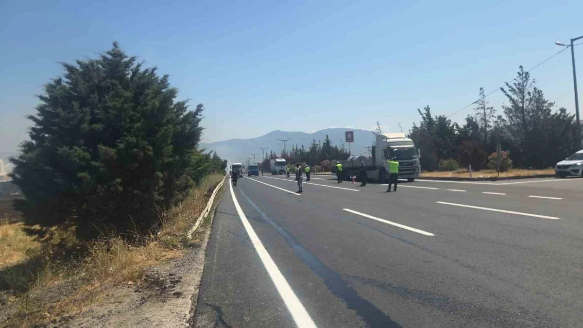 Bursa-Yalova Karayolu'nda otluk alanda yangın korkuttu