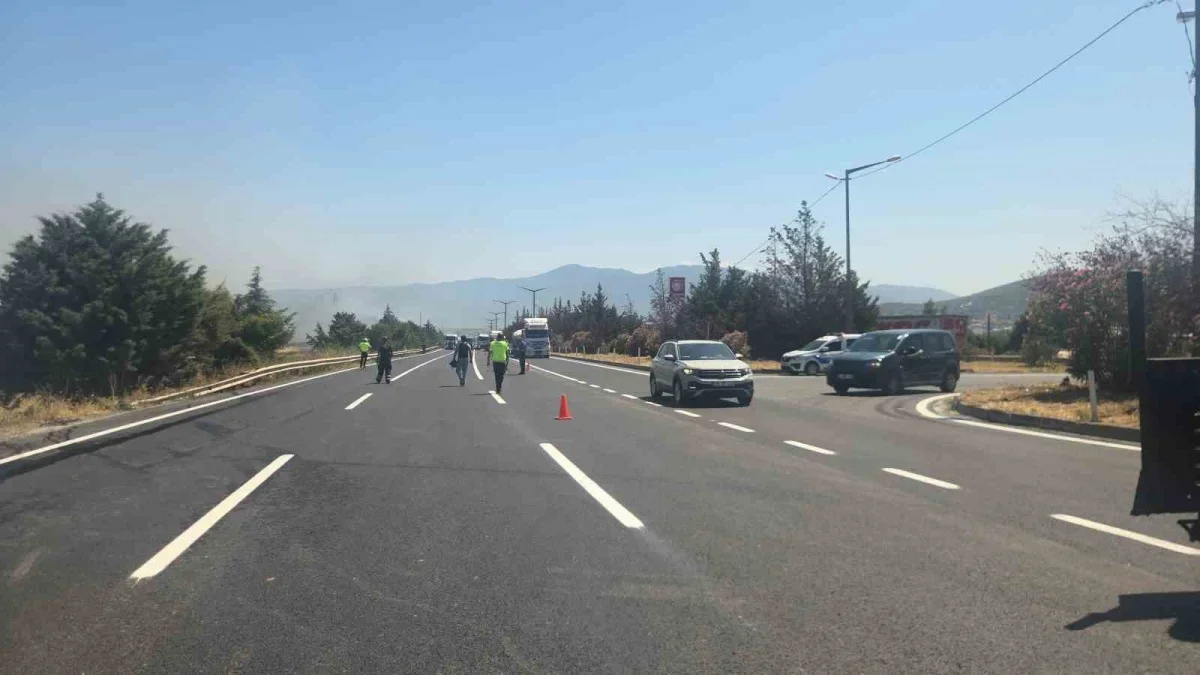 Bursa-Yalova Karayolu'nda otluk alanda yangın korkuttu