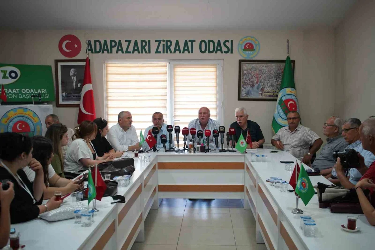 Sakarya'da fındık işçilerinin 2026 yevmiyesi belli oldu