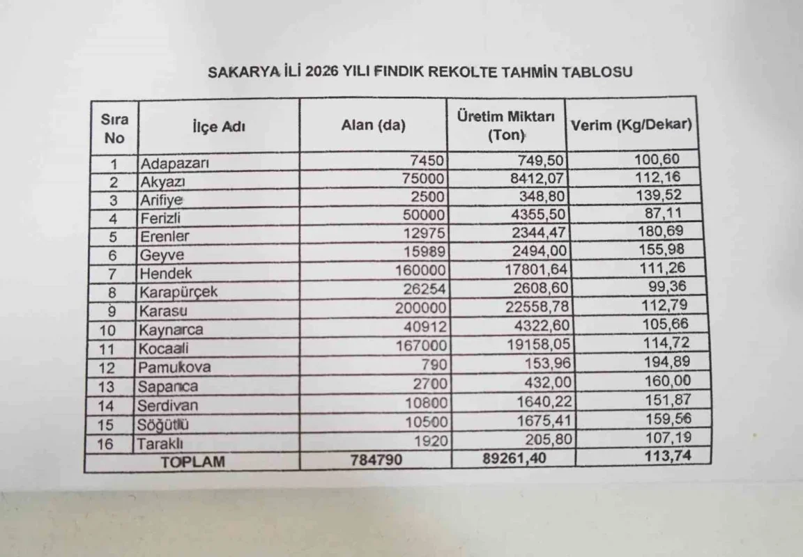 Sakarya'da fındık işçilerinin 2026 yevmiyesi belli oldu
