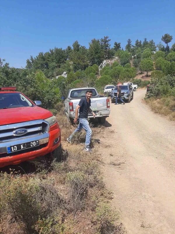 Burhaniye'de orman yangını kontrol altına alındı