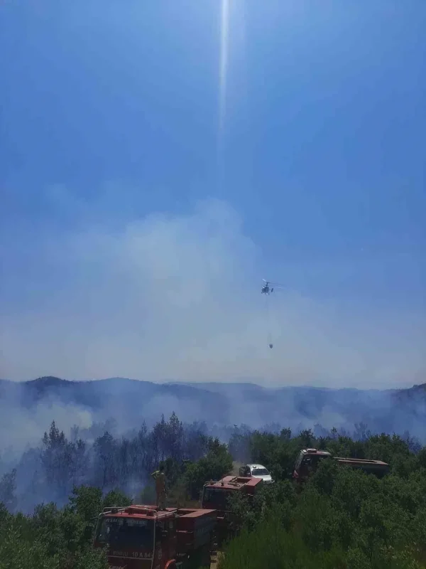 Burhaniye'de orman yangını kontrol altına alındı