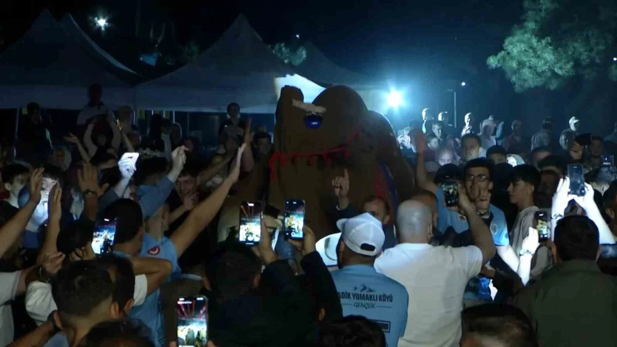 Samsun Festivali'ne 75 bin kişi akın etti, Kocayayla doldu