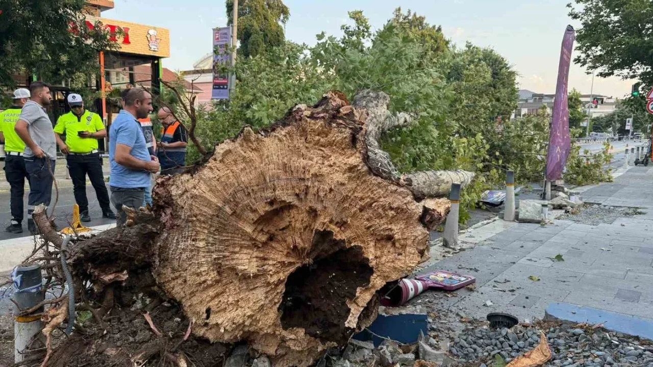 İstanbul'da fırtına hasar bıraktı: Ağaçlar devrildi, camlar kırıldı