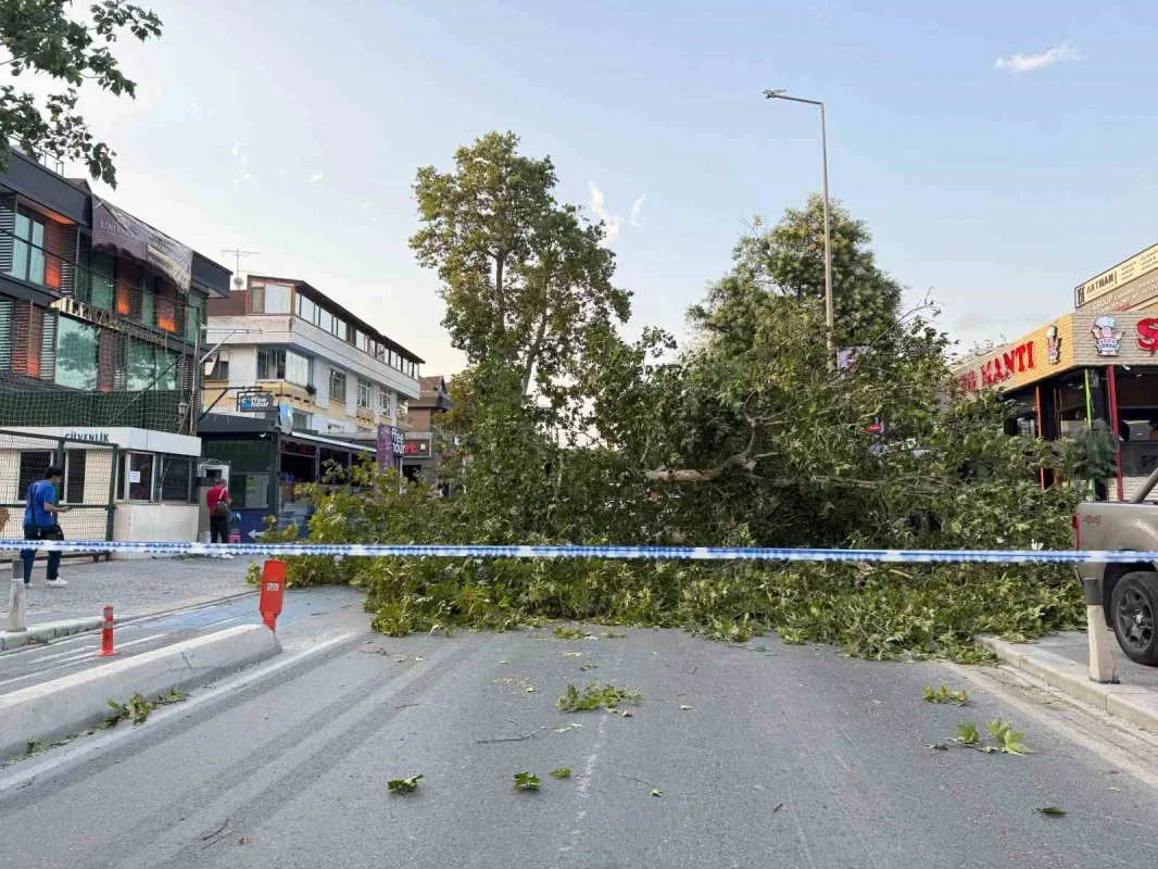 İstanbul'da fırtına hasar bıraktı: Ağaçlar devrildi, camlar kırıldı