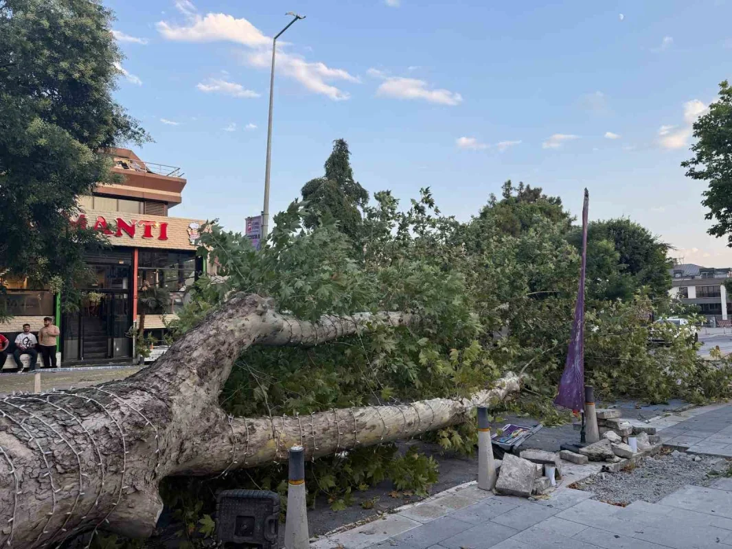 İstanbul'da fırtına hasar bıraktı: Ağaçlar devrildi, camlar kırıldı