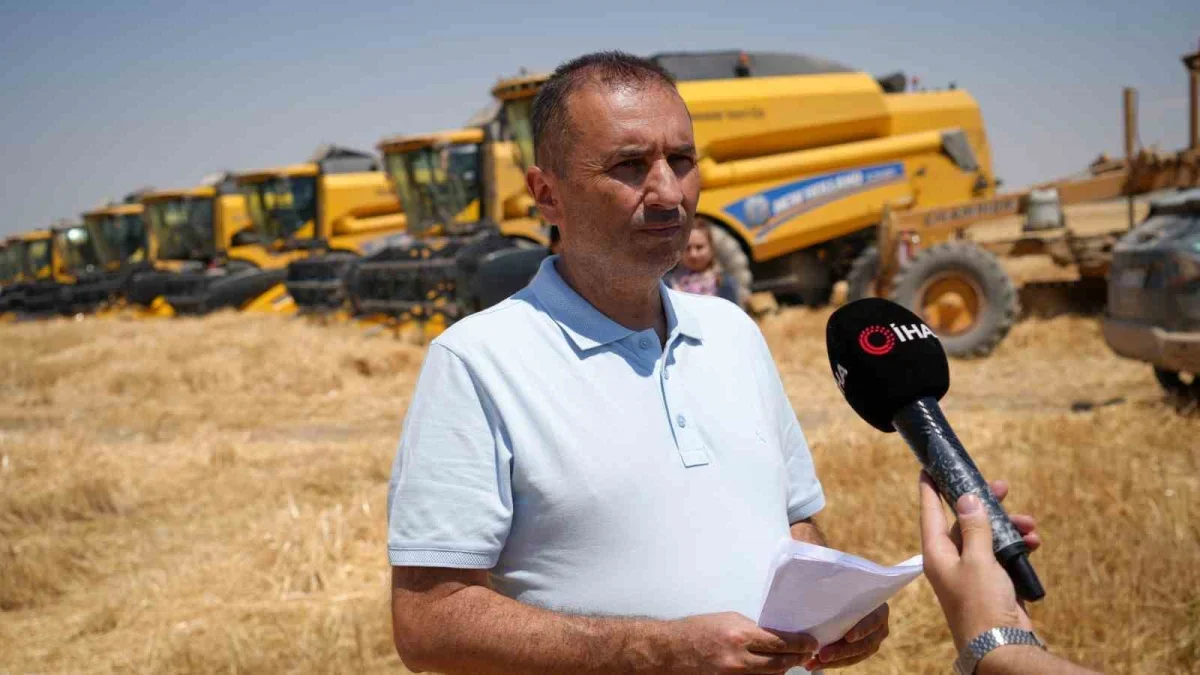 Ankara Polatlı'da arpa ve buğday hasadında yüzde 40 artış