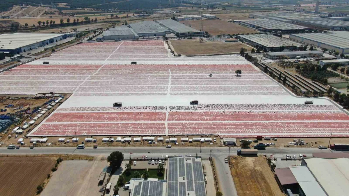 Torbalı kuru domatesi 100 ülkeye ihraç ediliyor