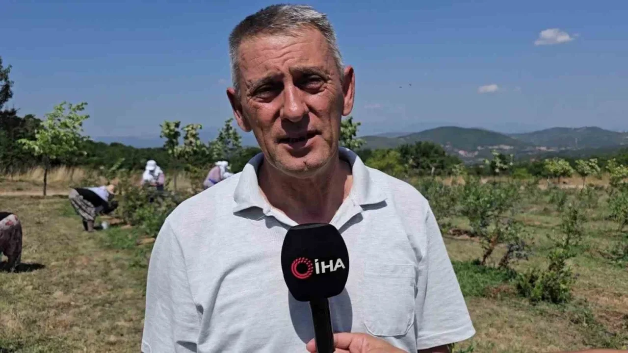 Orhaneli çiftçisi soğuk hava deposu istiyor: 700 tonluk talep