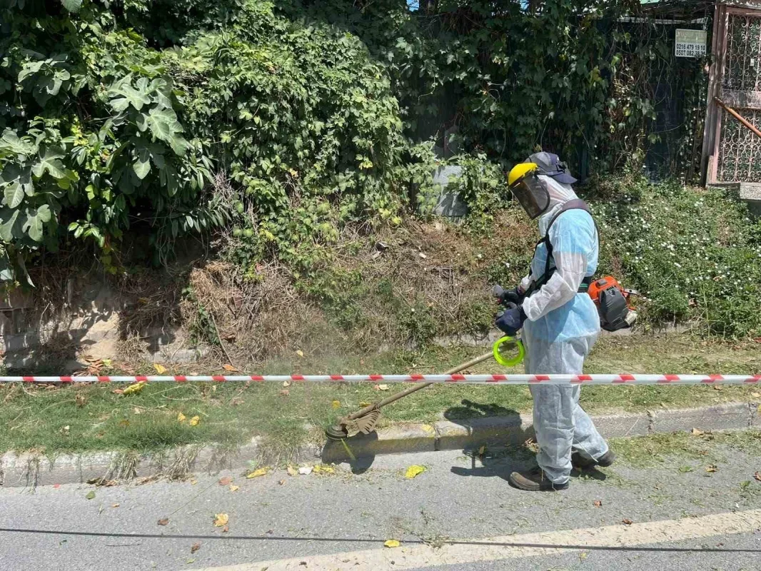 Beykoz'da İBB sorumluluğundaki yollarda otlar temizlendi