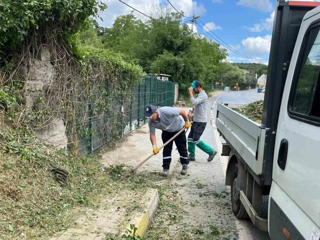 Beykoz'da İBB sorumluluğundaki yollarda otlar temizlendi