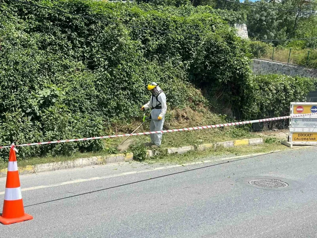 Beykoz'da İBB sorumluluğundaki yollarda otlar temizlendi