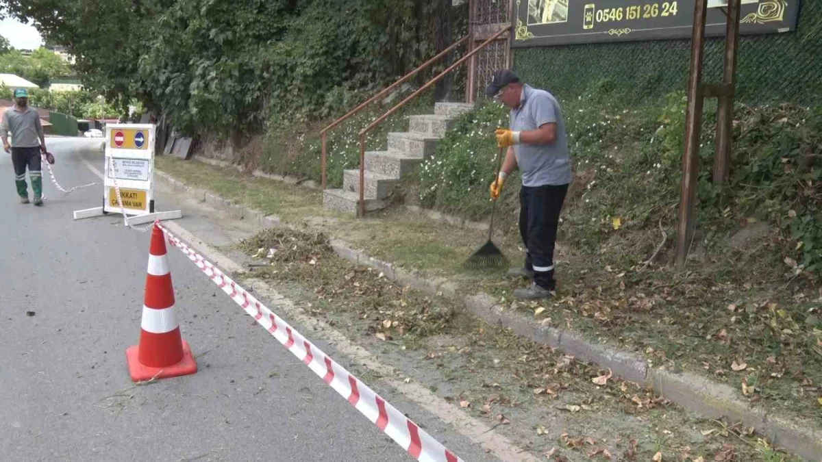 Beykoz'da İBB sorumluluğundaki yollarda otlar temizlendi