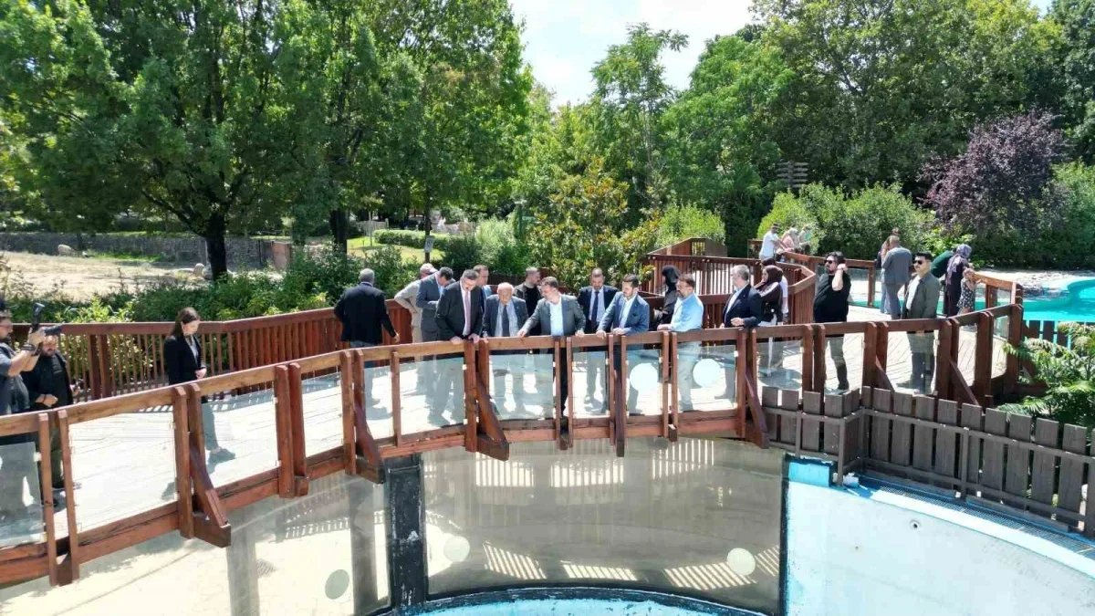 Şahin Biba Bursa Hayvanat Bahçesi'nde incelemelerde bulundu