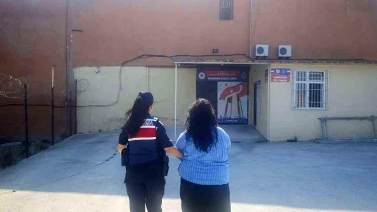 Çanakkale'de jandarma operasyonu: 14 şüpheli tutuklandı