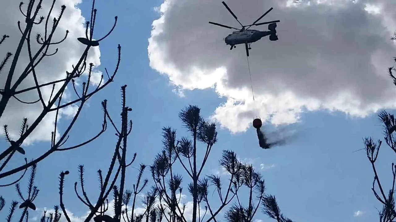 Kırklareli'deki orman yangını söndürüldü, 35 dekar zarar gördü