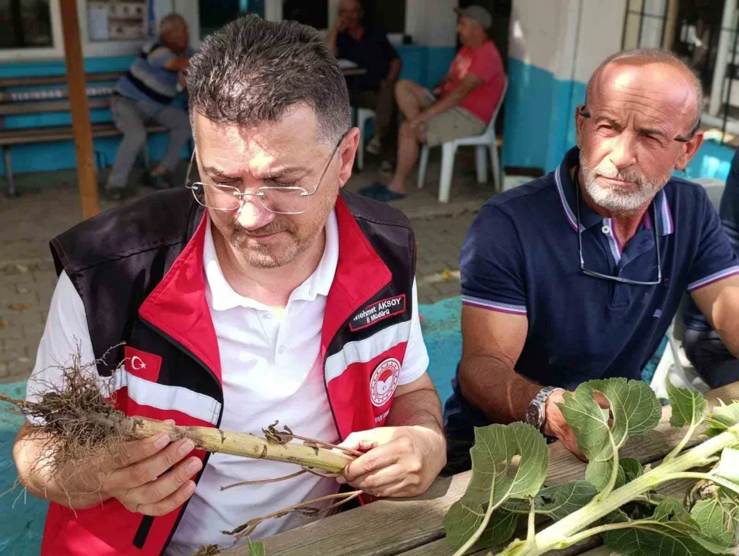 Tekirdağ'da dolu hasarı sonrası köylerde tespit sürüyor