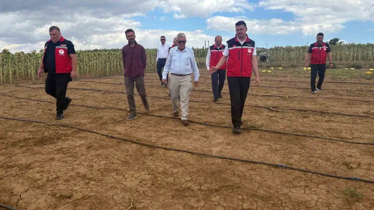 Tekirdağ'da dolu hasarı sonrası köylerde tespit sürüyor
