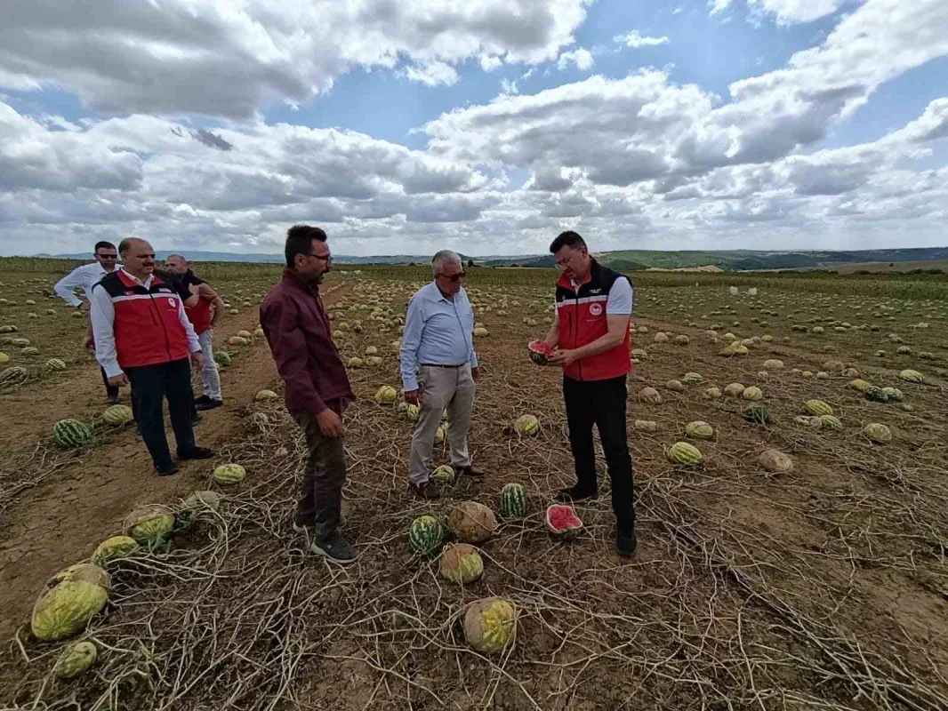 Tekirdağ'da dolu hasarı sonrası köylerde tespit sürüyor