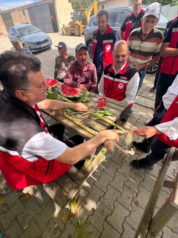 Tekirdağ'da dolu hasarı sonrası köylerde tespit sürüyor