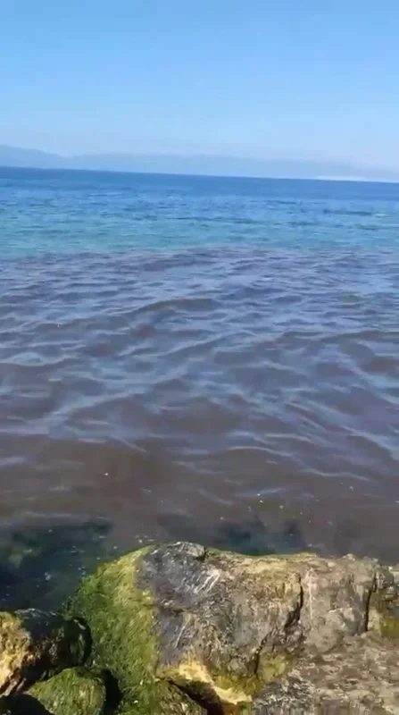 Mudanya sahilinde kanalizasyon suyu denize aktı