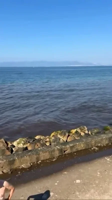 Mudanya sahilinde kanalizasyon suyu denize aktı