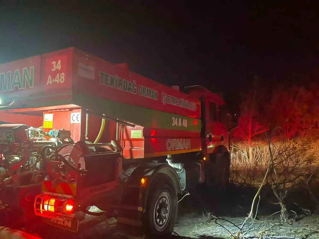 Tekirdağ Malkara'daki orman yangınında 90 dekar zarar gördü
