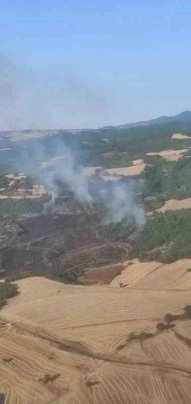 Tekirdağ Malkara'daki orman yangınında 90 dekar zarar gördü