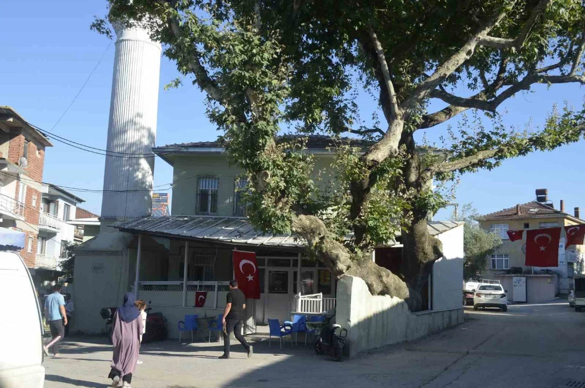 Mudanya'da şehitler için dua edildi, hasat bereketi dilendi