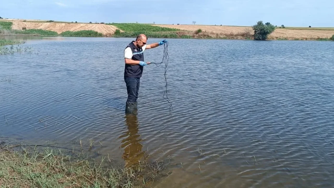Edirne Korucu köyü göletinde toplu balık ölümleri inceleniyor