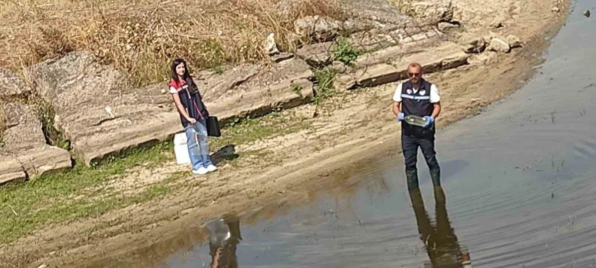 Edirne Korucu köyü göletinde toplu balık ölümleri inceleniyor
