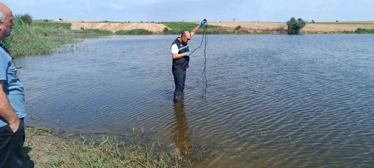 Edirne Korucu köyü göletinde toplu balık ölümleri inceleniyor