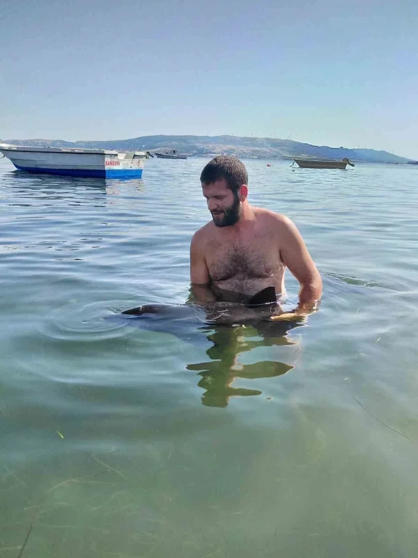 Erdek'te karaya vuran yavru yunus ekiplerin müdahalesiyle kurtarıldı